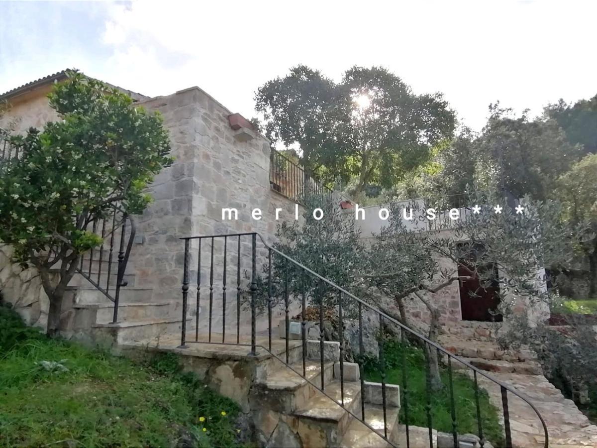 Villa Merlo House Dol Hvar