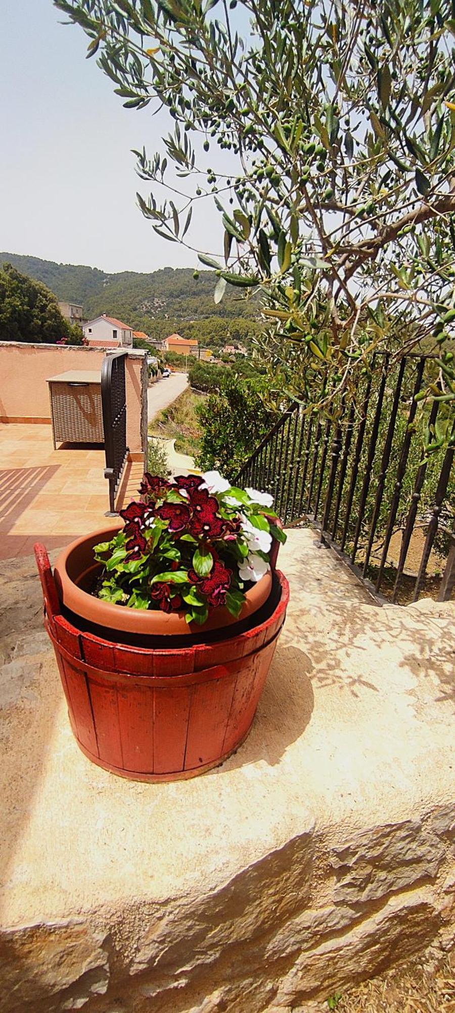 Villa Merlo House Dol Hvar *