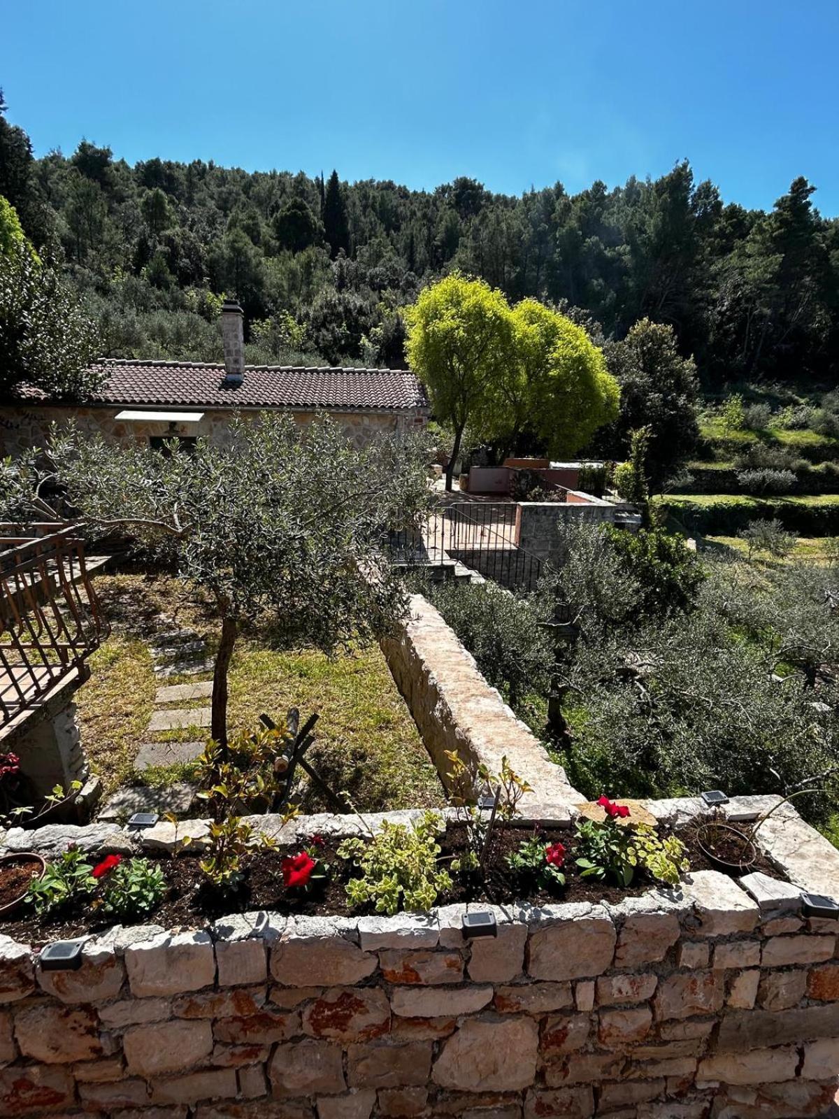 Merlo House Dol Hvar Villa Stari Grad (Hvar)
